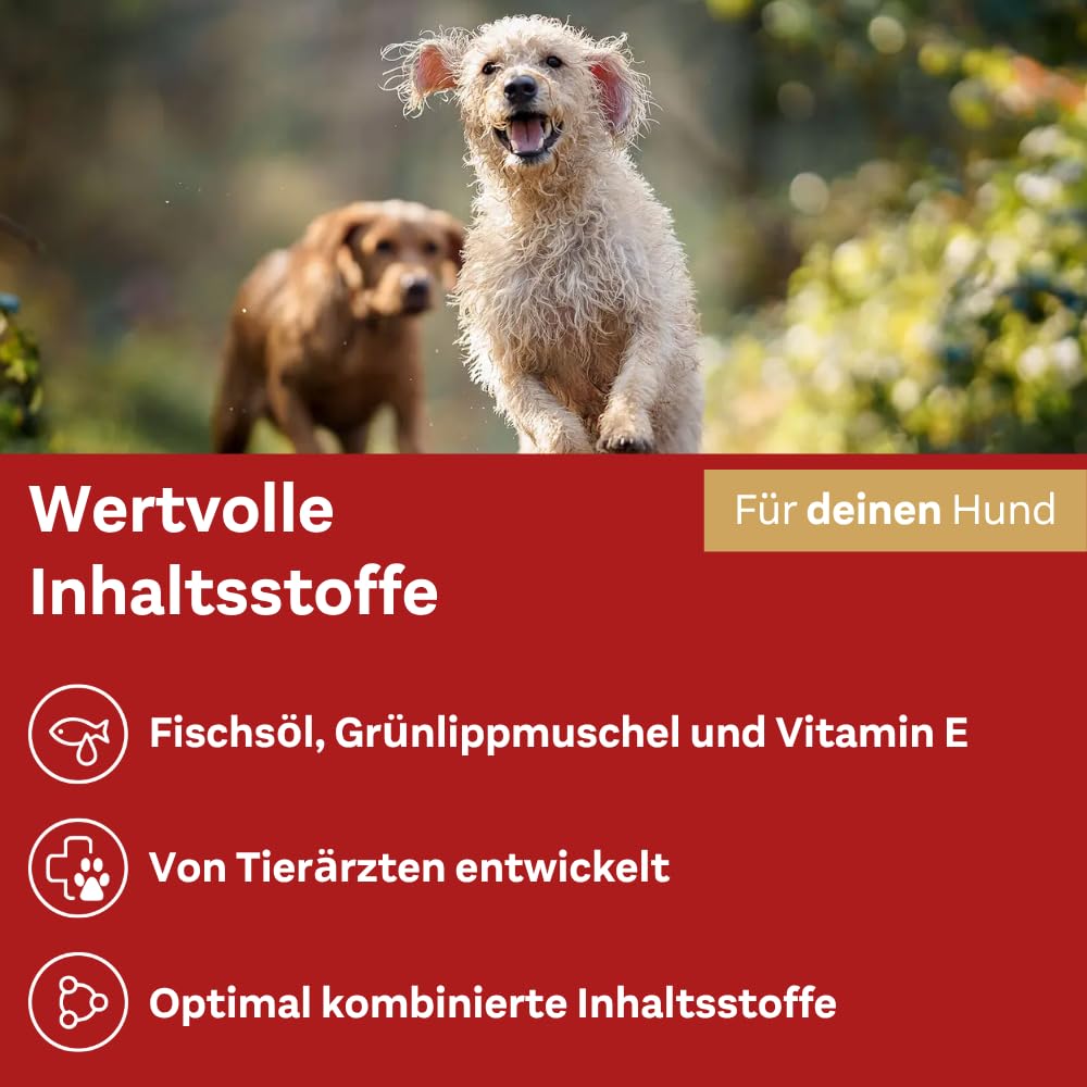 doppelherz-f-r-tiere-gelenk-complex-f-r-hunde-60-chews-mit-gr-nlippmuschel-nativ image 5