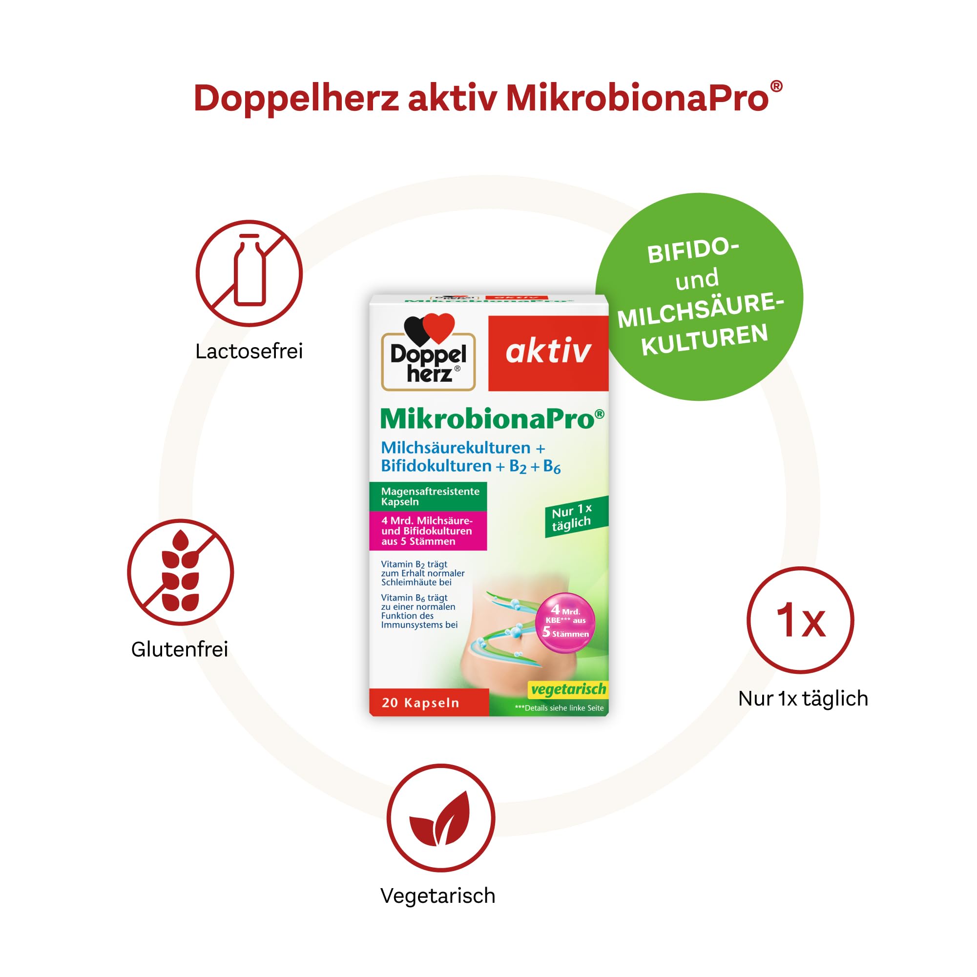 doppelherz-mikrobionapro-milchs-urekulturen-b2-b6-20-kapseln image 4
