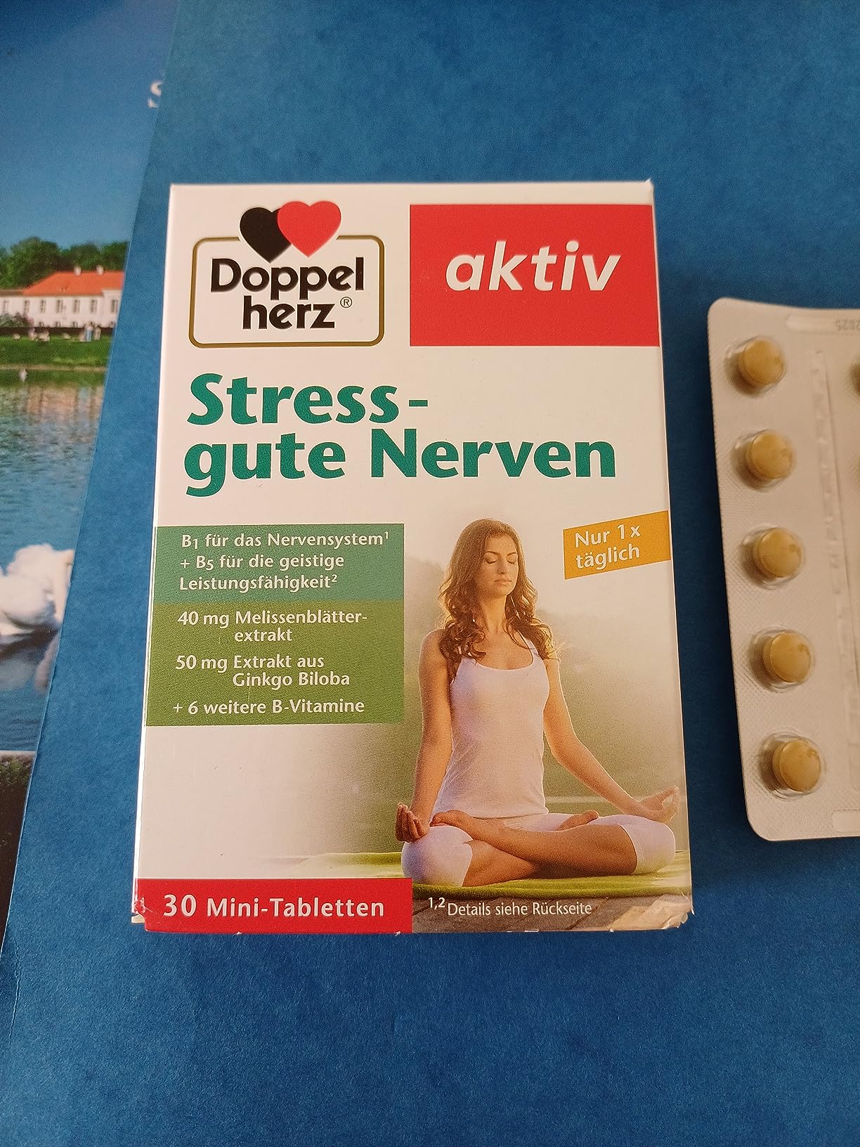 Gute Unterstützung