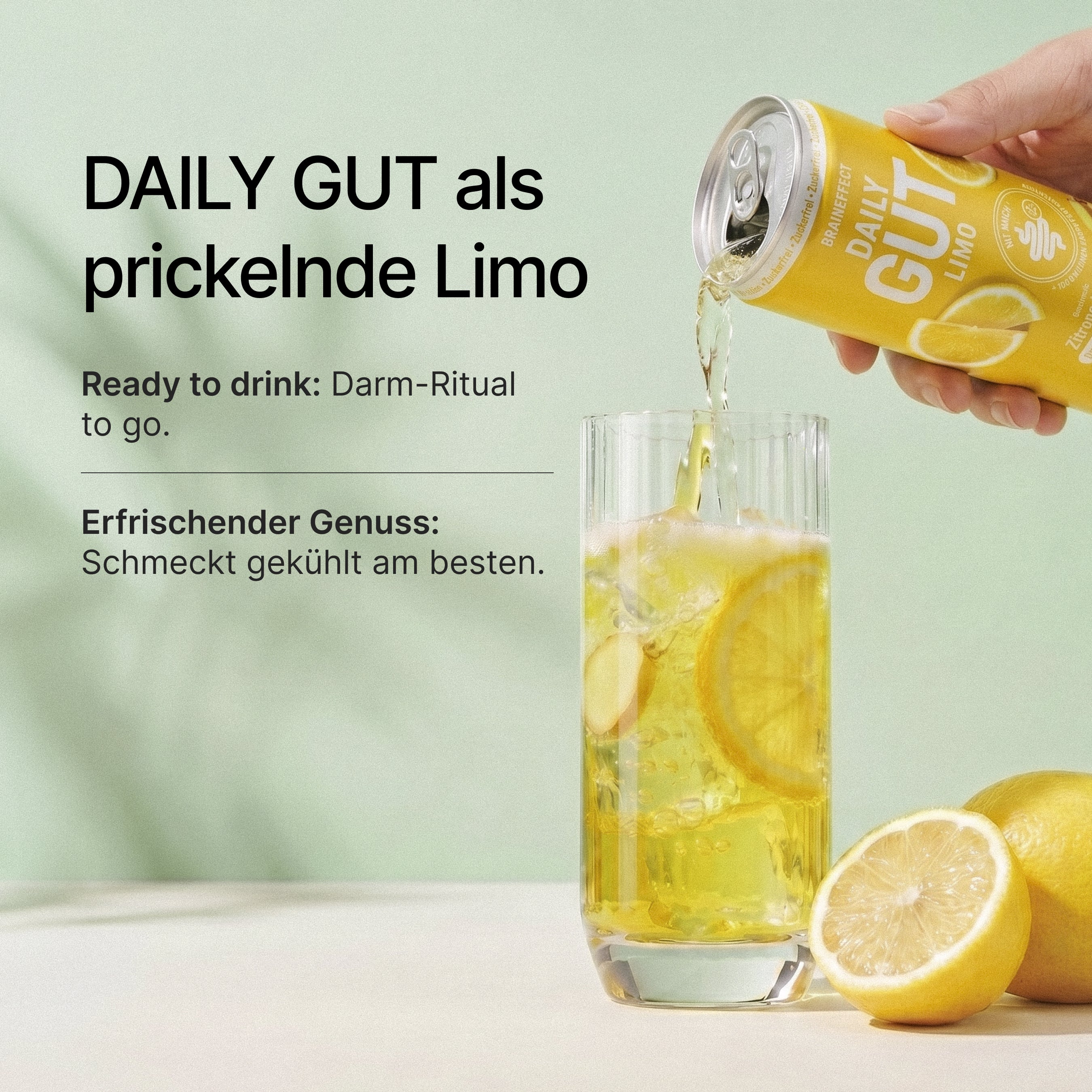 braineffect-daily-gut-limo-zitrone-ingwer-30-portionen-f-r-den-darm image 3