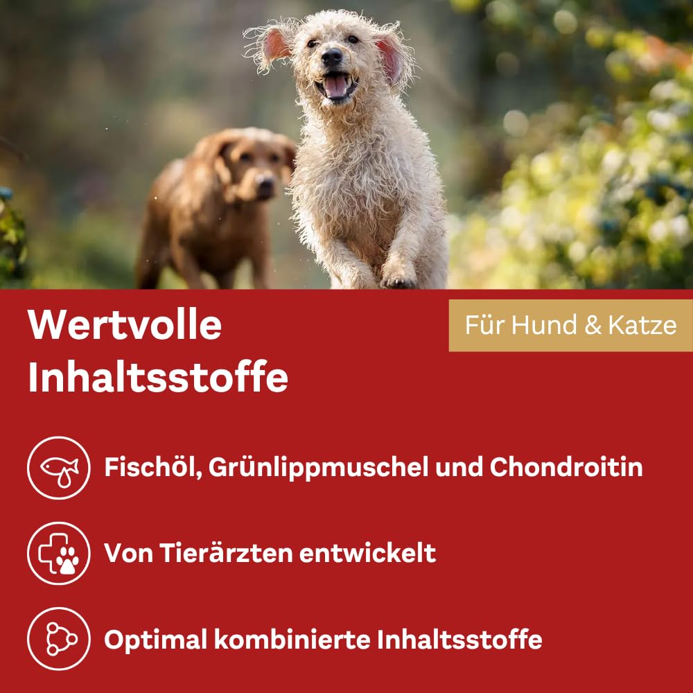 doppelherz-f-r-tiere-gelenk-complex-f-r-katzen-250-ml-lmischung-mit-omega-3-und- image 6