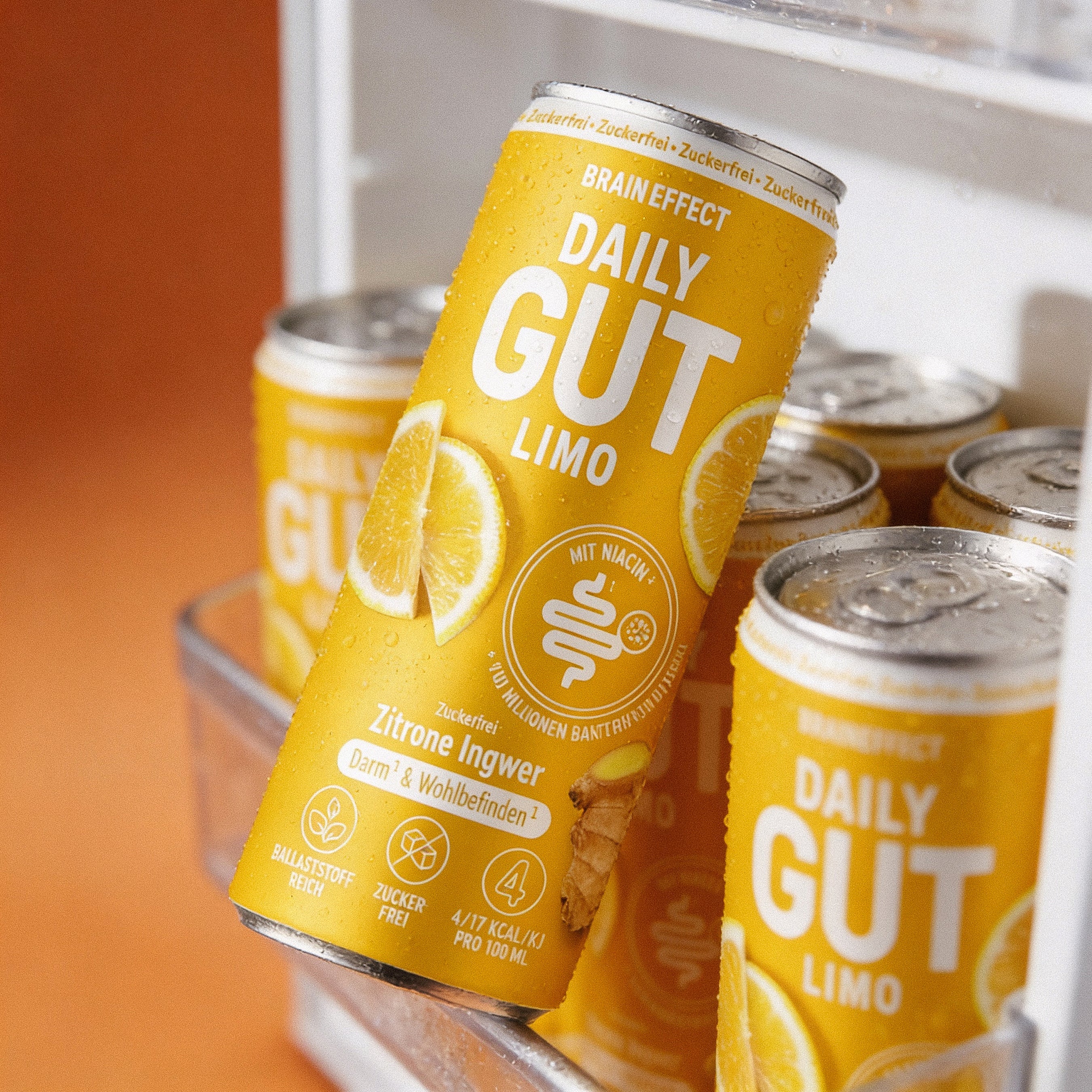 braineffect-daily-gut-limo-zitrone-ingwer-30-portionen-f-r-den-darm image 7
