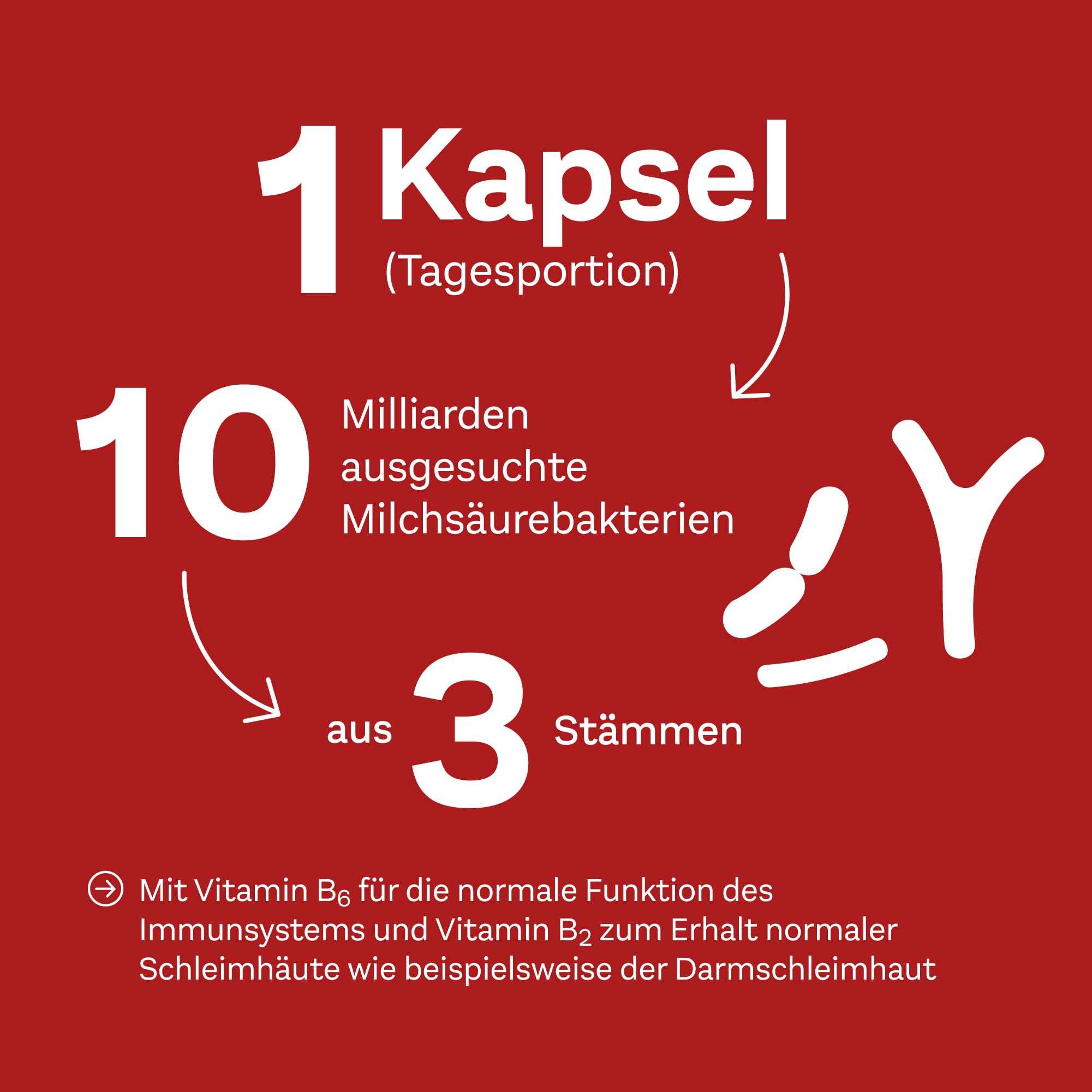 doppelherz-mikrobionapro-10-milchs-urebakterien-20-magensaftresistente-kapseln image 3