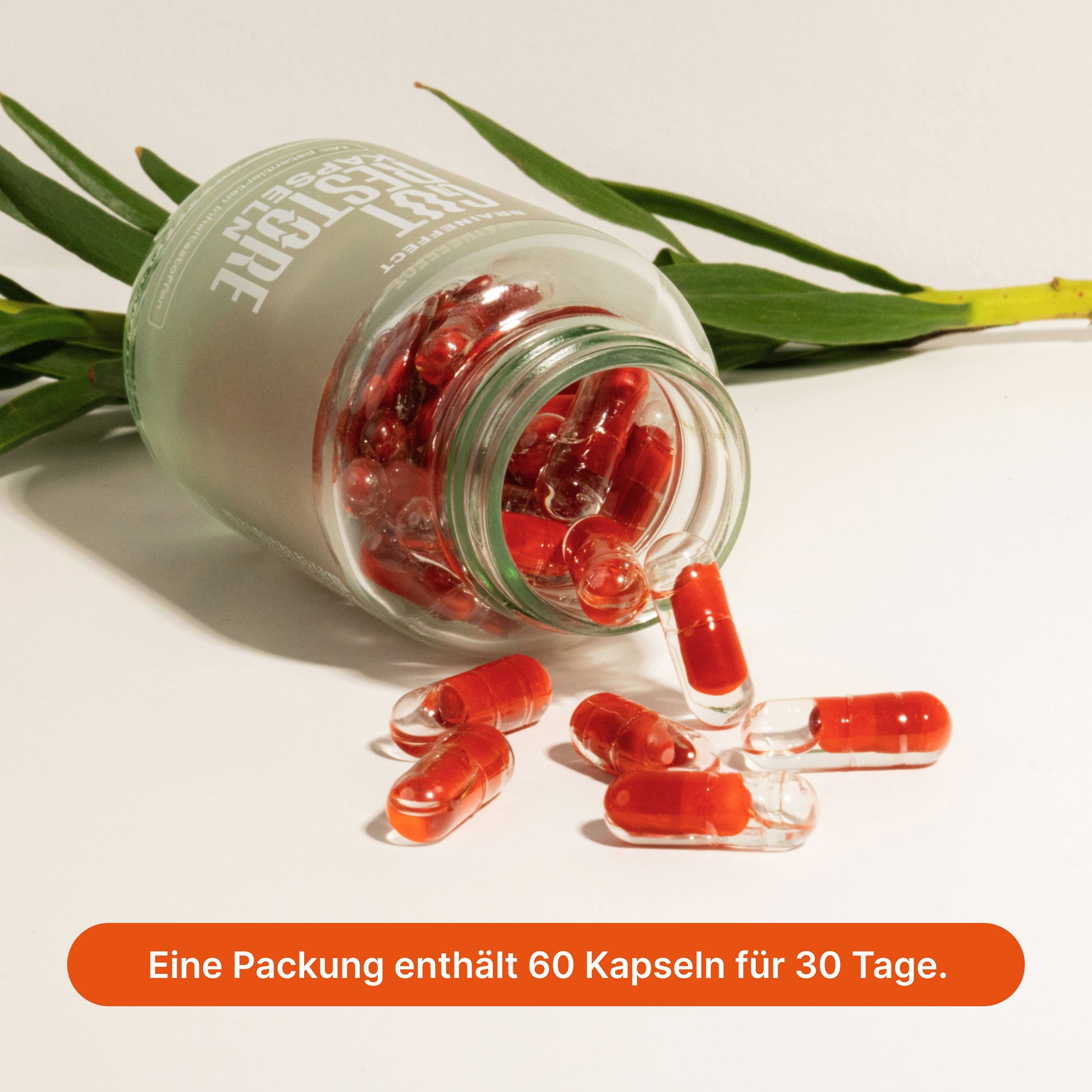 braineffect-gut-restore-darmroutine-probiotika-ballaststoffe image 5