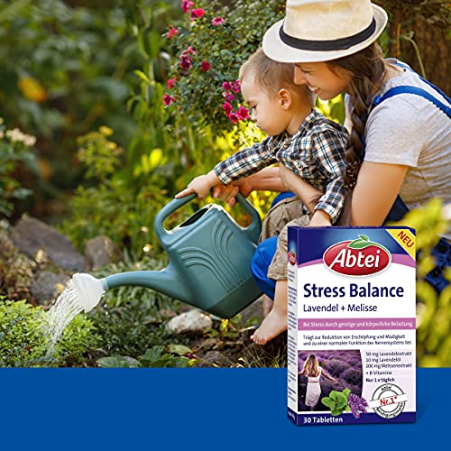 abtei-stress-balance-lavendel-melisse-mit-b-vitaminen-30-tabletten image 6