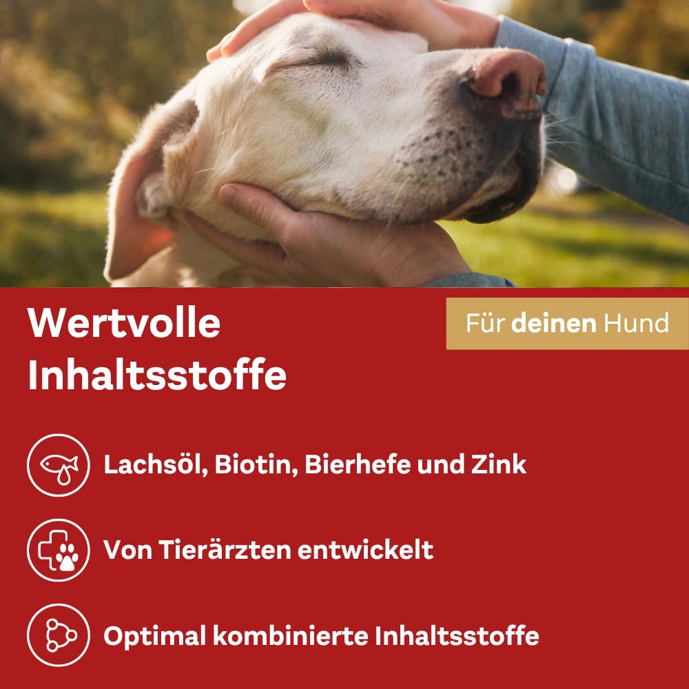 doppelherz-f-r-tiere-haut-und-fell-complex-f-r-hunde-60-chews-mit-omega-3-und-om image 5