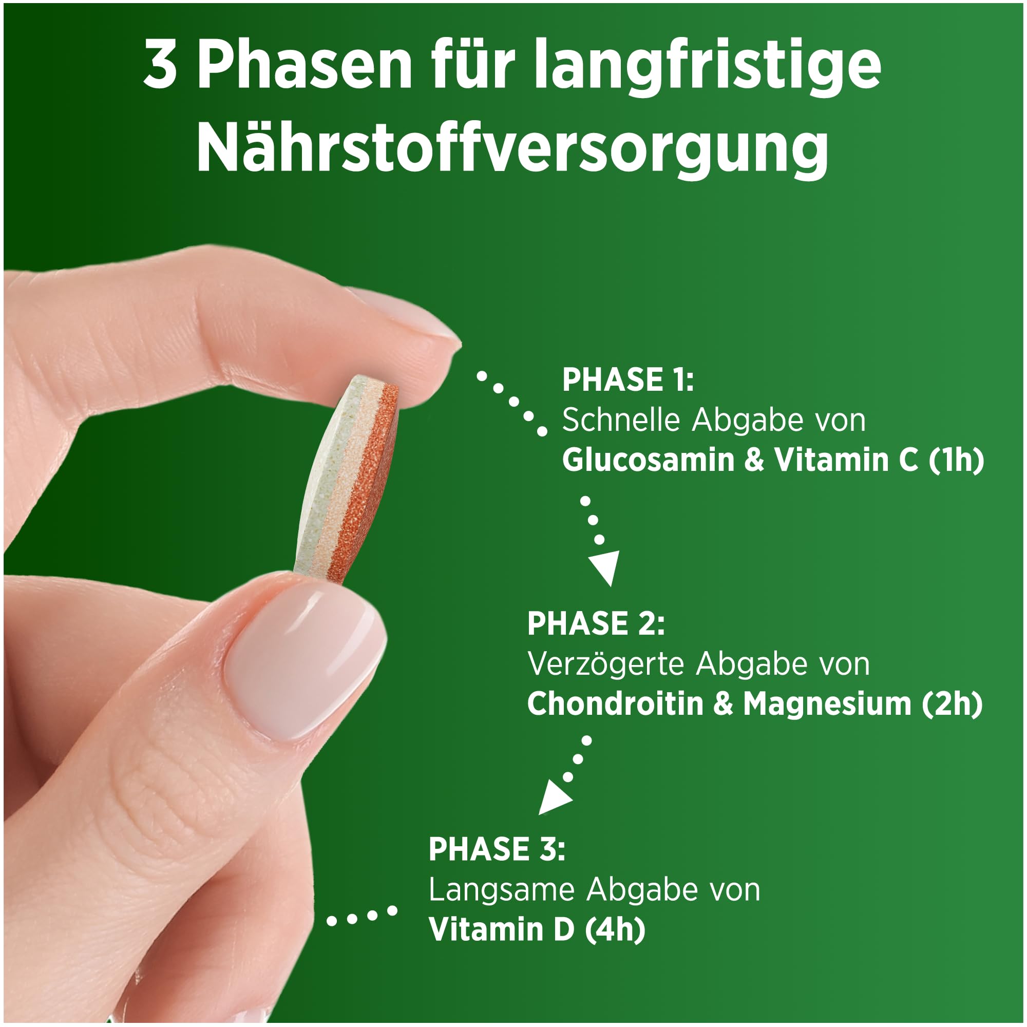 centrum-vital-knochen-knorpel-muskeln-3-phasen-komplex-30-tabletten image 4