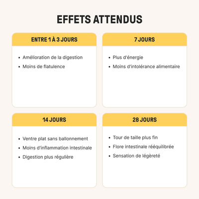 braineffect-probiotiques-daily-gut-th-glac-12-mrd-bakterienkulturen-vitamin-b6-b image 4