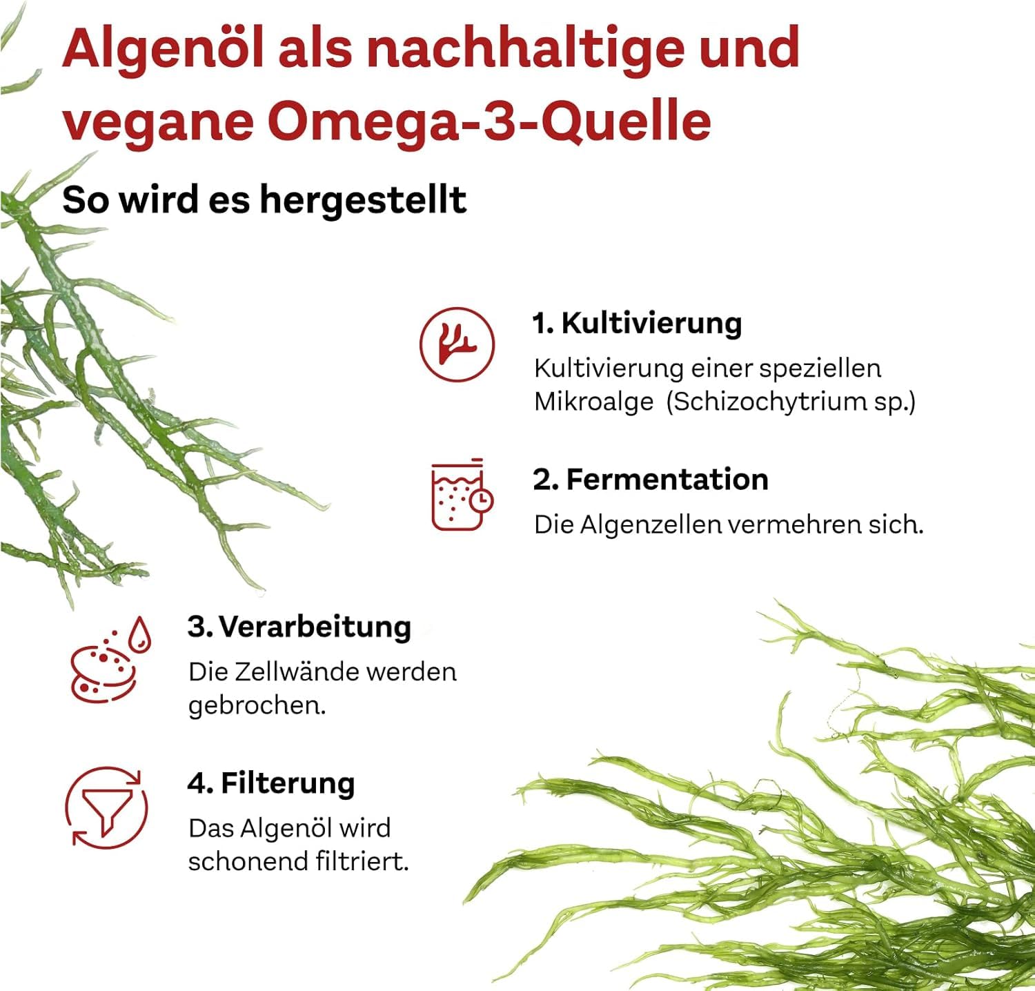 doppelherz-system-omega-3-pflanzlich-algen-l-120-kapseln-vegan image 3
