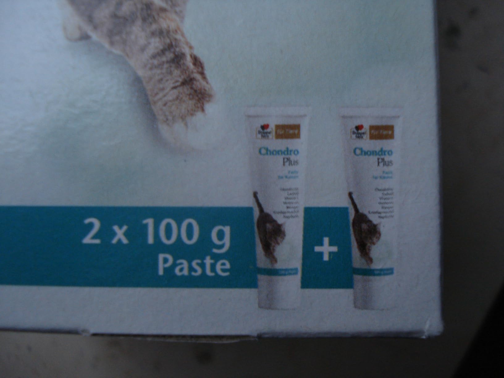 Katze springt wieder