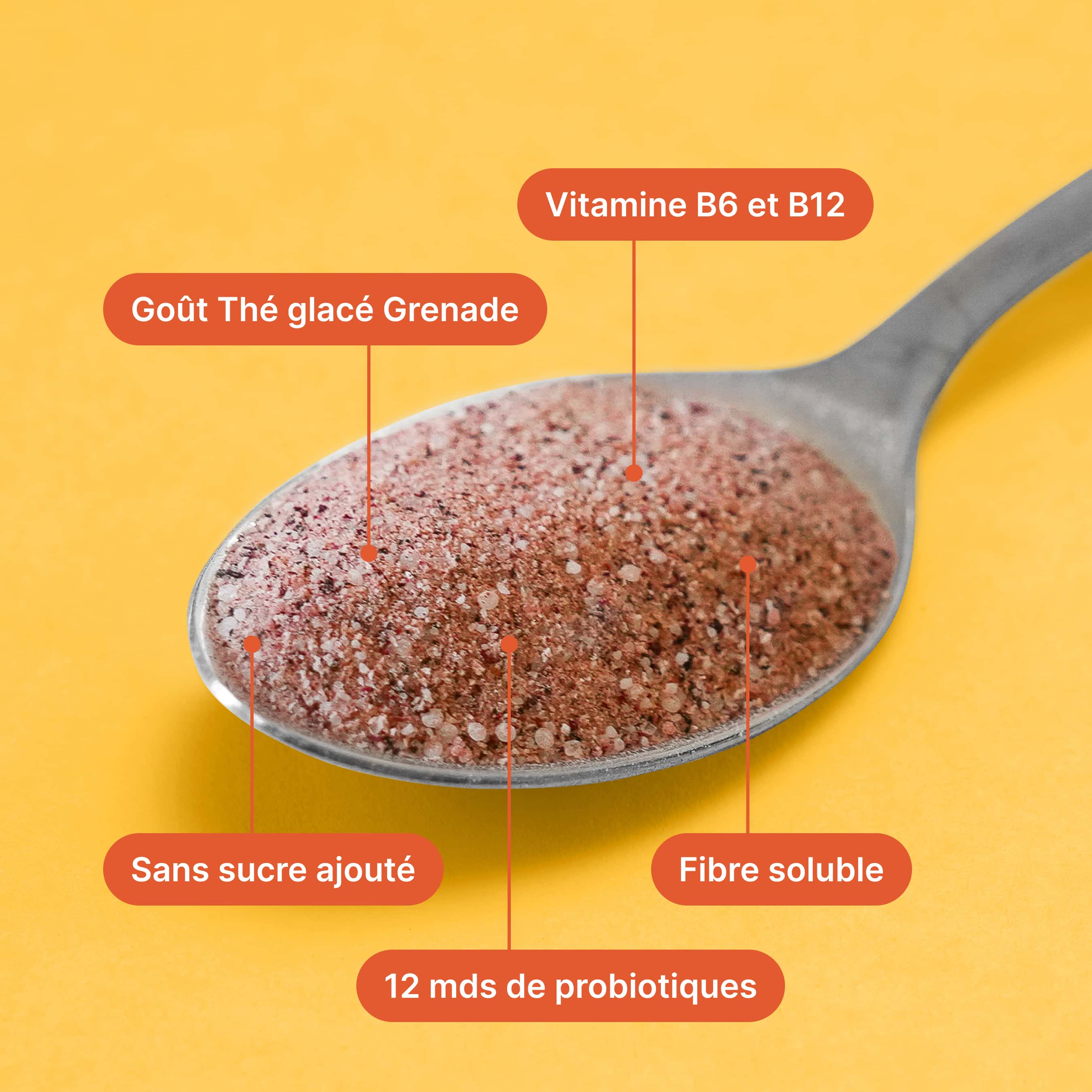 braineffect-daily-gut-eistee-12-mrd-bakterienkulturen-vitamin-b6-b12 image 2