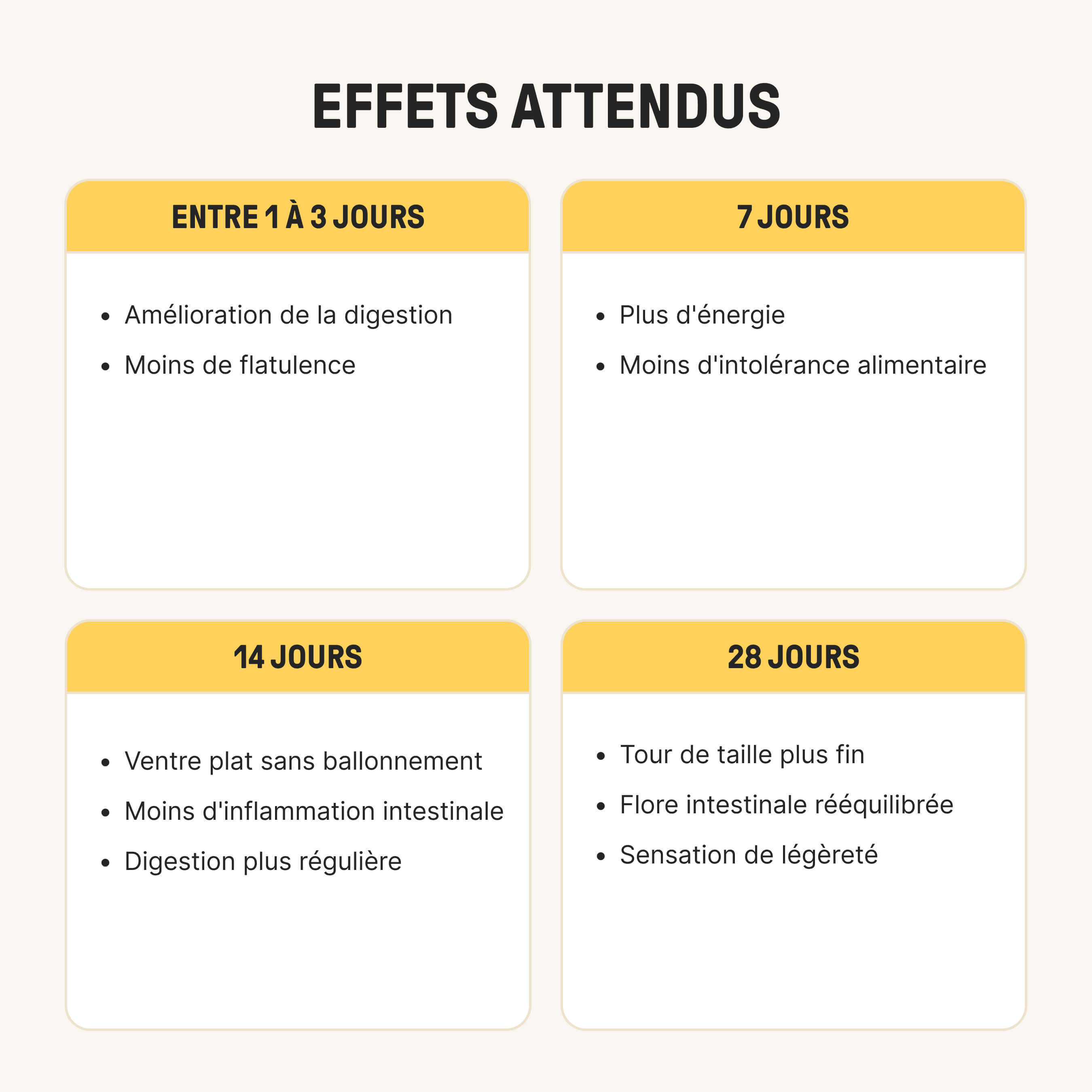 braineffect-daily-gut-eistee-12-mrd-bakterienkulturen-vitamin-b6-b12 image 5