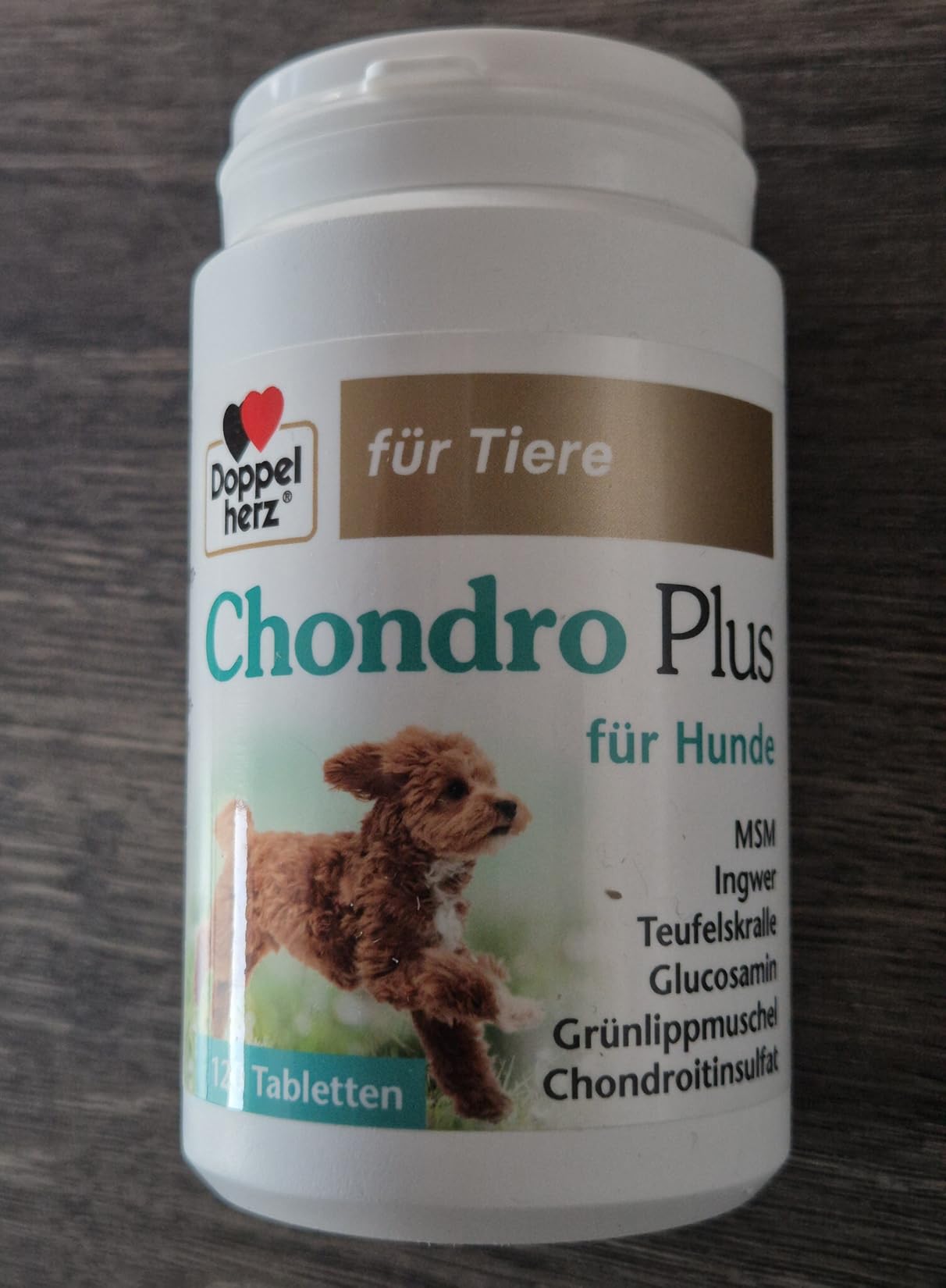 Nicht für meinen Hund
